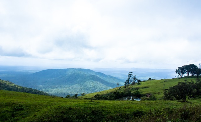 域提高更加 域提高更加