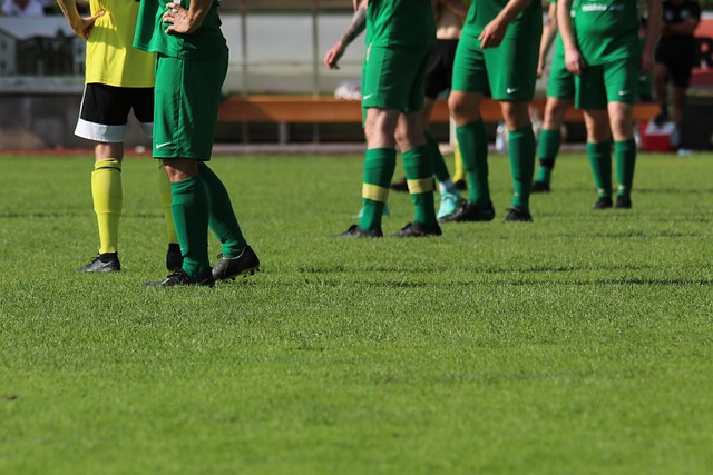 的竞争力优 的竞争力优