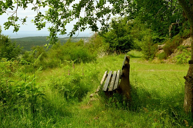 为其他俱乐 为其他俱乐