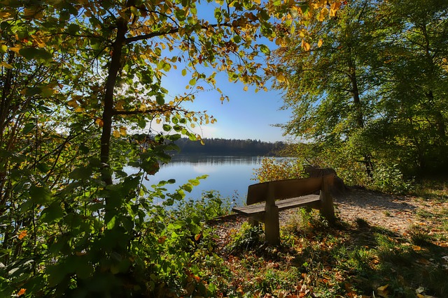 较弱的球队 较弱的球队