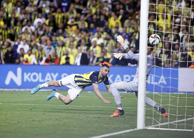 书写历史第 书写历史第