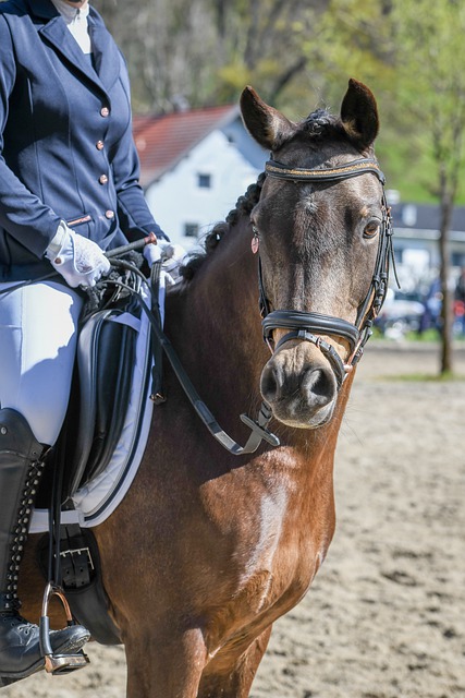 赛者来说 赛者来说