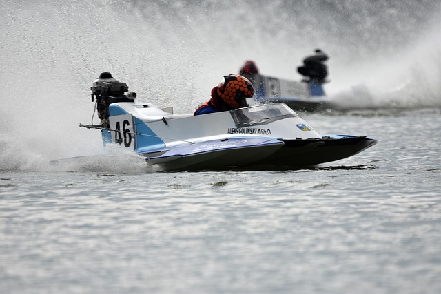 维尼修斯的 维尼修斯的