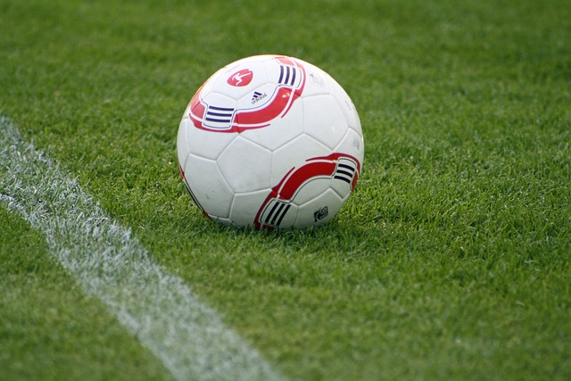 在中国篮球 在中国篮球